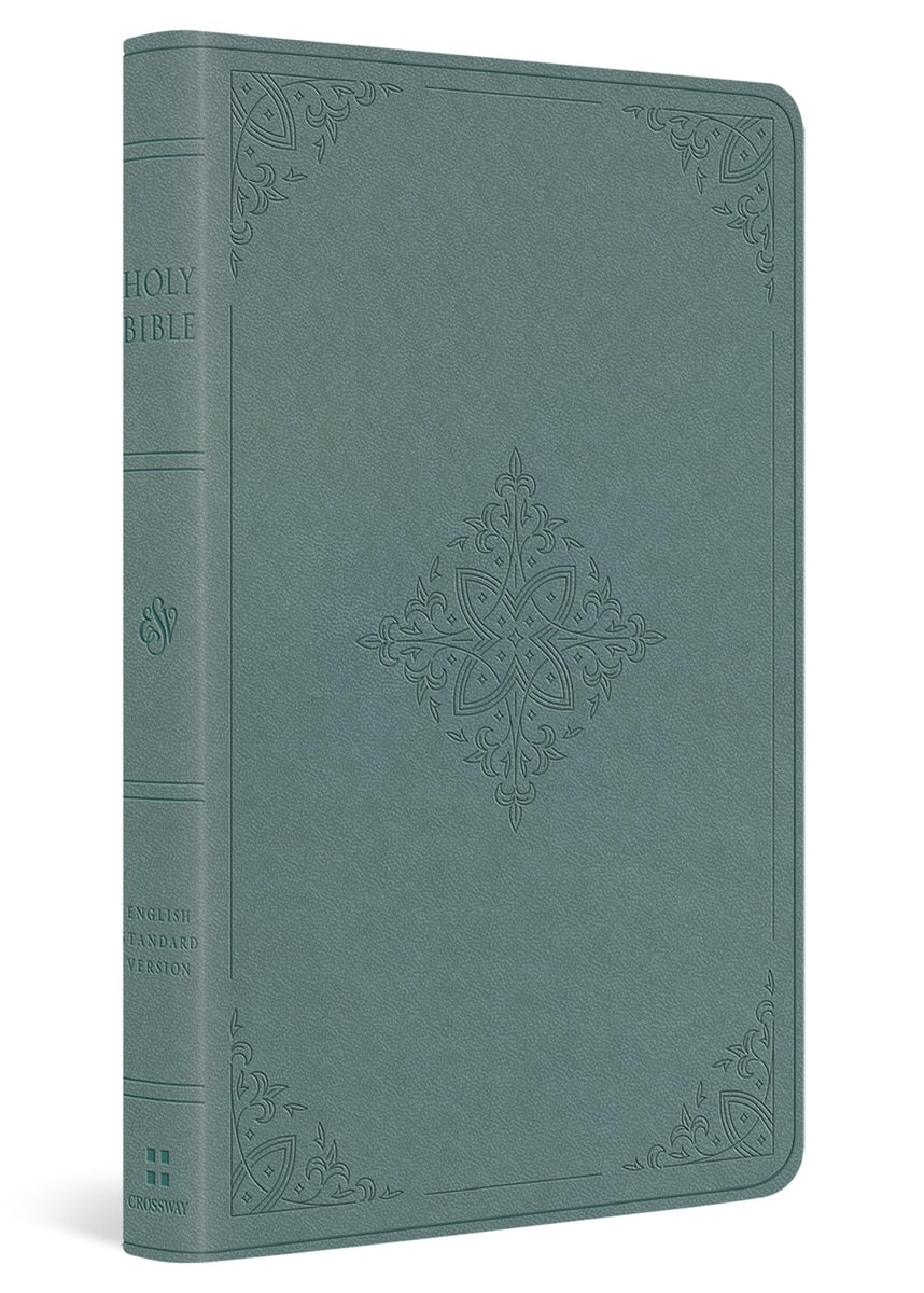 Cover image for ESV Value Thinline Bible (Trutone, Paris Sky, Fleur-De-Lis Design), isbn: 9781433595660