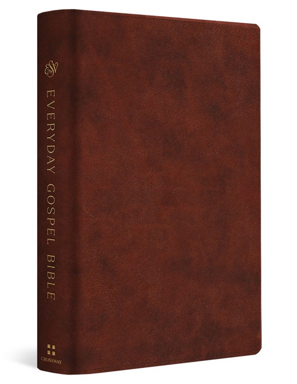 Cover image for ESV Everyday Gospel Bible, isbn: 9781433595707