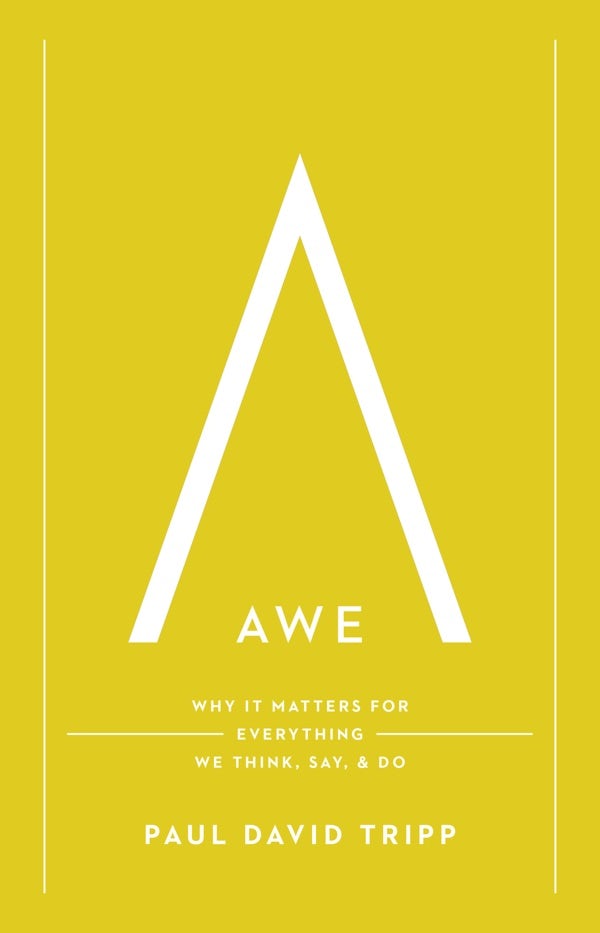 Cover image for Awe, isbn: 9781433597558