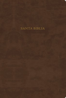 Cover image for Nueva Biblia de Estudio Scofield-Rvr 1960, isbn: 9781433601835