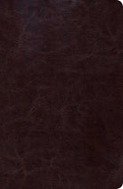 Cover image for Biblia de Estudio Scofield Tomano Personal-Rvr 1960, isbn: 9781433602504