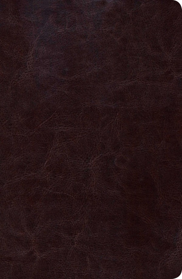 Cover image for Biblia de Estudio Scofield Tomano Personal-Rvr 1960, isbn: 9781433602504