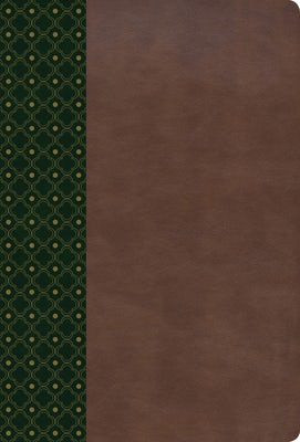 Cover image for Biblia de Estudio Scofield-Rvr 1960, isbn: 9781433636219