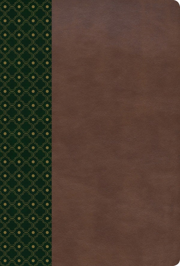 Cover image for Biblia de Estudio Scofield-Rvr 1960, isbn: 9781433636219