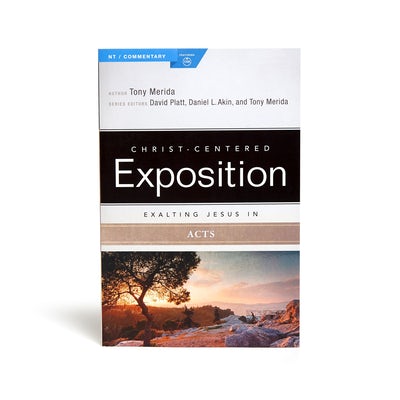 Cover image for Exalting Jesus in Acts, isbn: 9781433647093