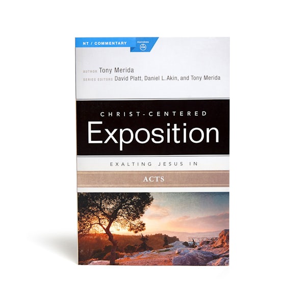 Cover image for Exalting Jesus in Acts, isbn: 9781433647093