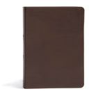 Cover image for CSB She Reads Truth Bible, Brown Genuine Leather, isbn: 9781433648236
