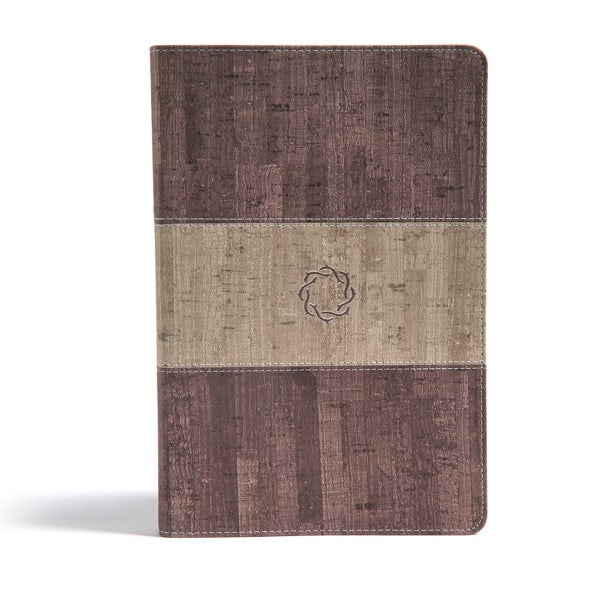 Cover image for CSB Essential Teen Study Bible, Weathered Gray Cork Leathertouch, isbn: 9781433648724