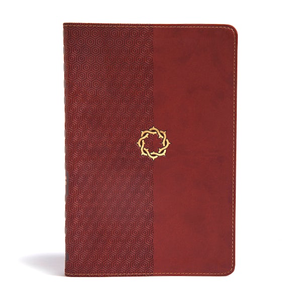 Cover image for CSB Essential Teen Study Bible, Walnut Leathertouch, isbn: 9781433648731