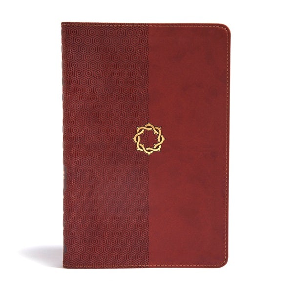 Cover image for CSB Essential Teen Study Bible, Walnut Leathertouch, isbn: 9781433648731