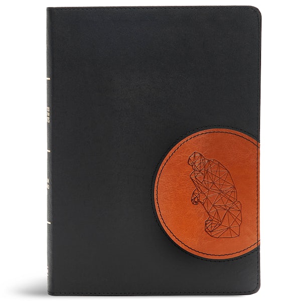 Cover image for CSB Apologetics Study Bible for Students, Black/Tan Leathertouch, isbn: 9781433651151