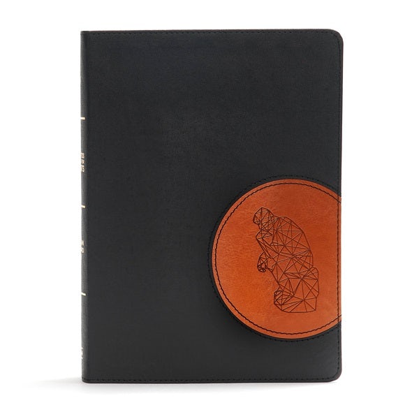 Cover image for CSB Apologetics Study Bible for Students, Black/Tan Leathertouch, isbn: 9781433651151