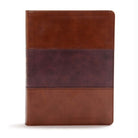 Cover image for CSB Apologetics Study Bible, Mahogany Leathertouch, isbn: 9781433651236