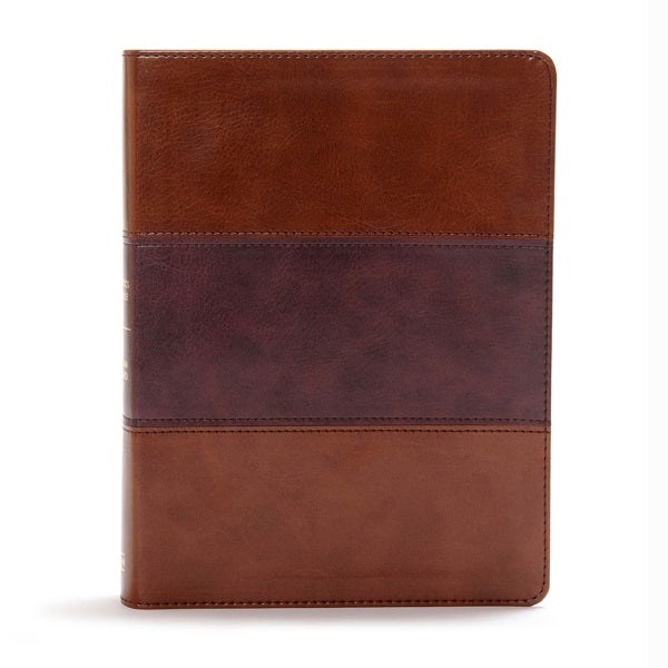 Cover image for CSB Apologetics Study Bible, Mahogany Leathertouch, isbn: 9781433651236
