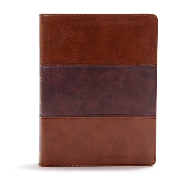 Cover image for CSB Apologetics Study Bible, Mahogany Leathertouch, Indexed, isbn: 9781433651243