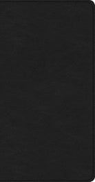 Cover image for CSB Share Jesus Without Fear New Testament, Black Leathertouch, isbn: 9781433651472