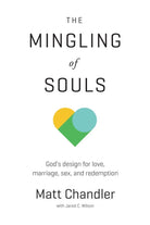 Cover image for The Mingling of Souls, isbn: 9781434706867