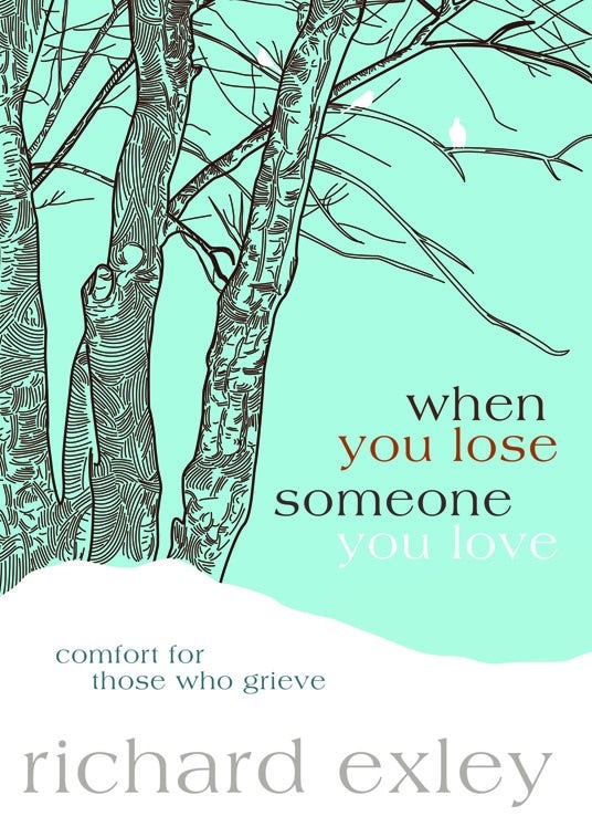 Cover image for When You Lose Someone You Love, isbn: 9781434764805