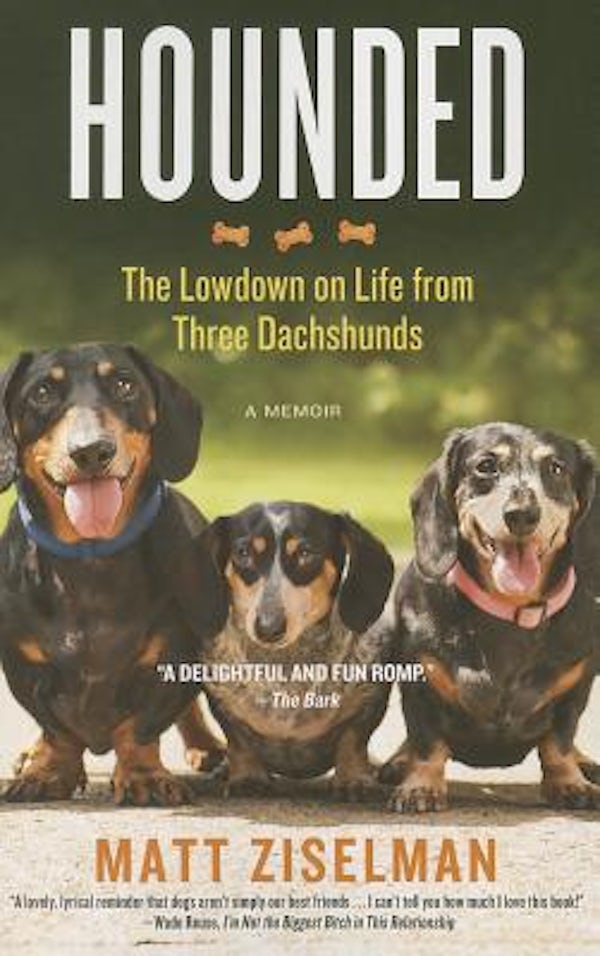 Cover image for Hounded, isbn: 9781455527014