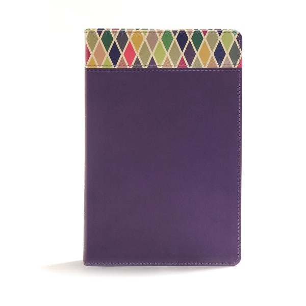 Cover image for CSB Rainbow Study Bible, Purple Leathertouch, isbn: 9781462741892