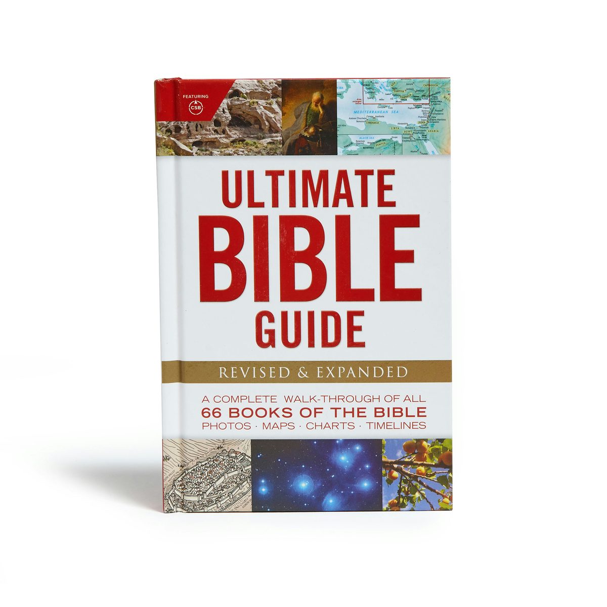 Cover image for Ultimate Bible Guide, isbn: 9781462776634