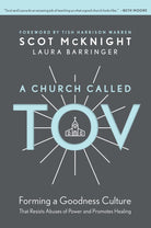 Cover image for A Church Called Tov, isbn: 9781496446008