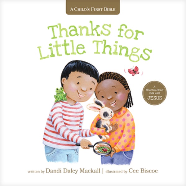 Cover image for Thanks for Little Things, isbn: 9781496454386