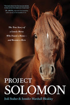 Cover image for Project Solomon, isbn: 9781496455314