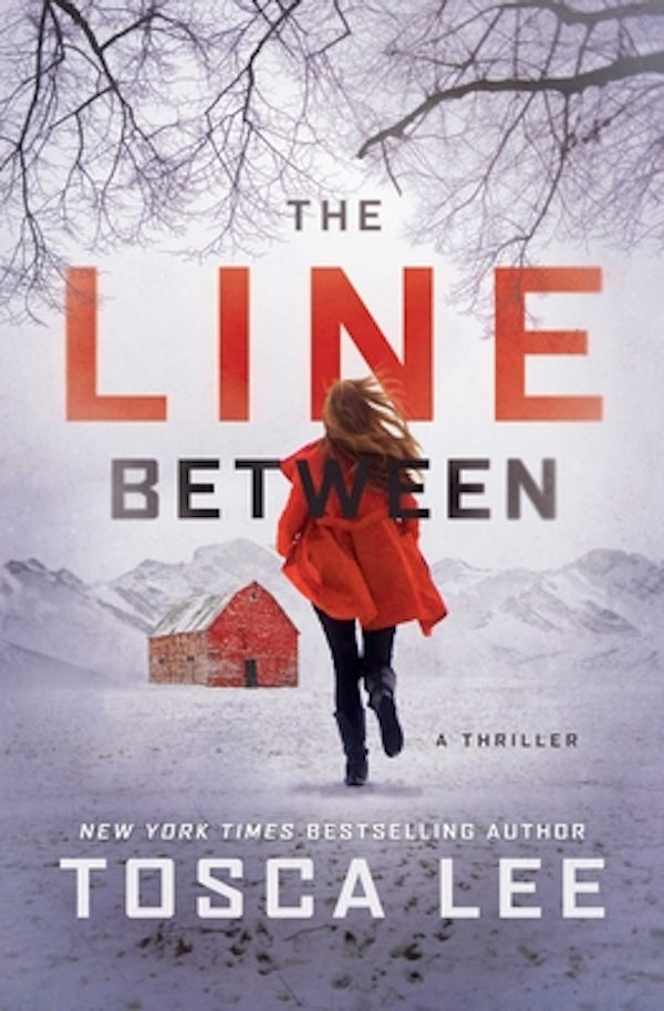 Cover image for The Line Between, isbn: 9781501169090