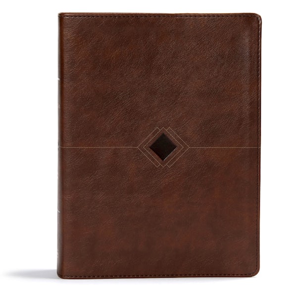 Cover image for CSB Day-By-Day Chronological Bible, Brown Leathertouch, isbn: 9781535925600