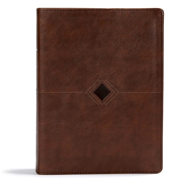 Cover image for CSB Day-By-Day Chronological Bible, Brown Leathertouch, isbn: 9781535925600