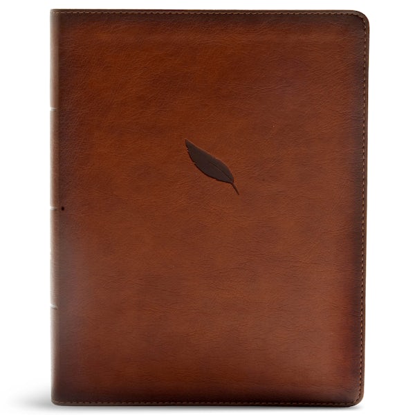 Cover image for CSB Legacy Notetaking Bible, Tan Leathertouch, isbn: 9781535948692