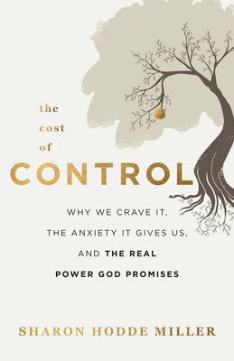 Cover image for Cost of Control, isbn: 9781540902221