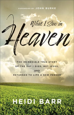 Cover image for What I Saw in Heaven, isbn: 9781540904164