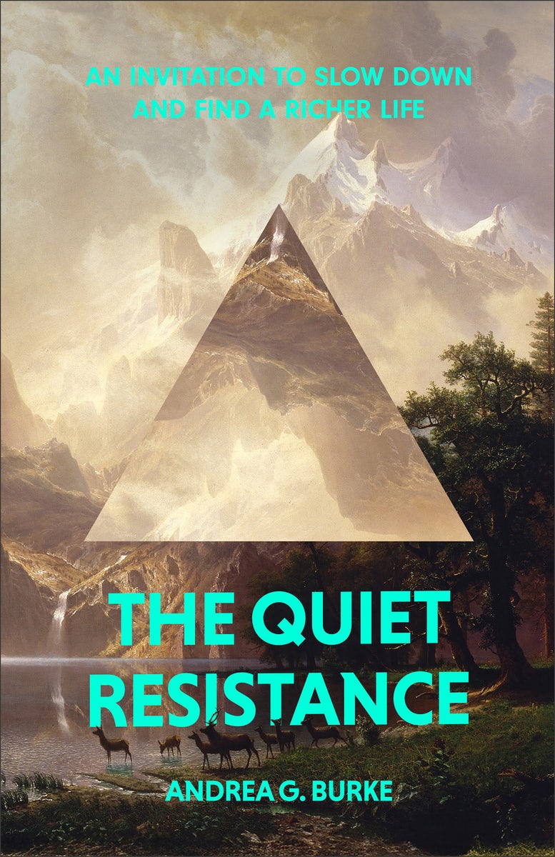 Cover image for The Quiet Resistance, isbn: 9781540905420