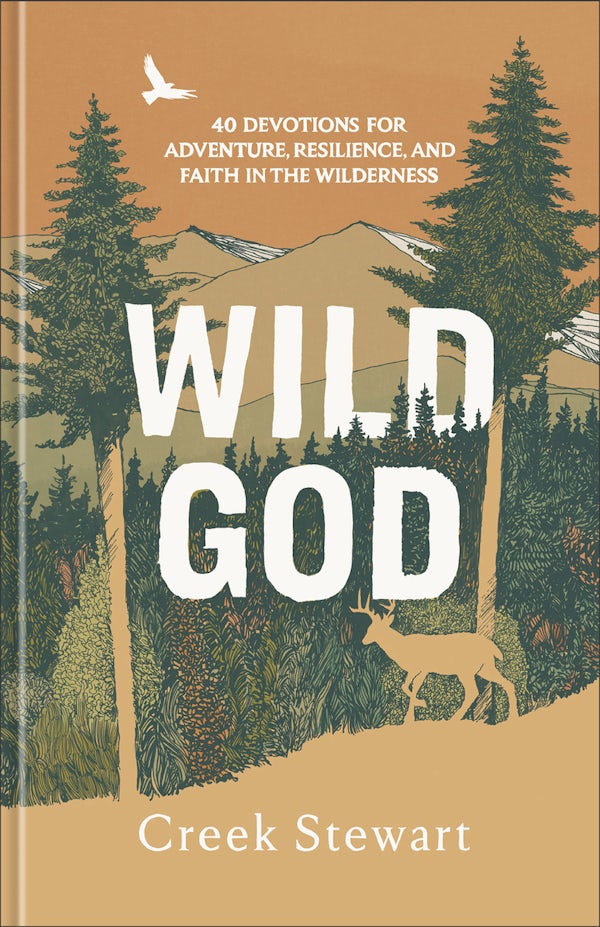 Cover image for Wild God, isbn: 9781540905710