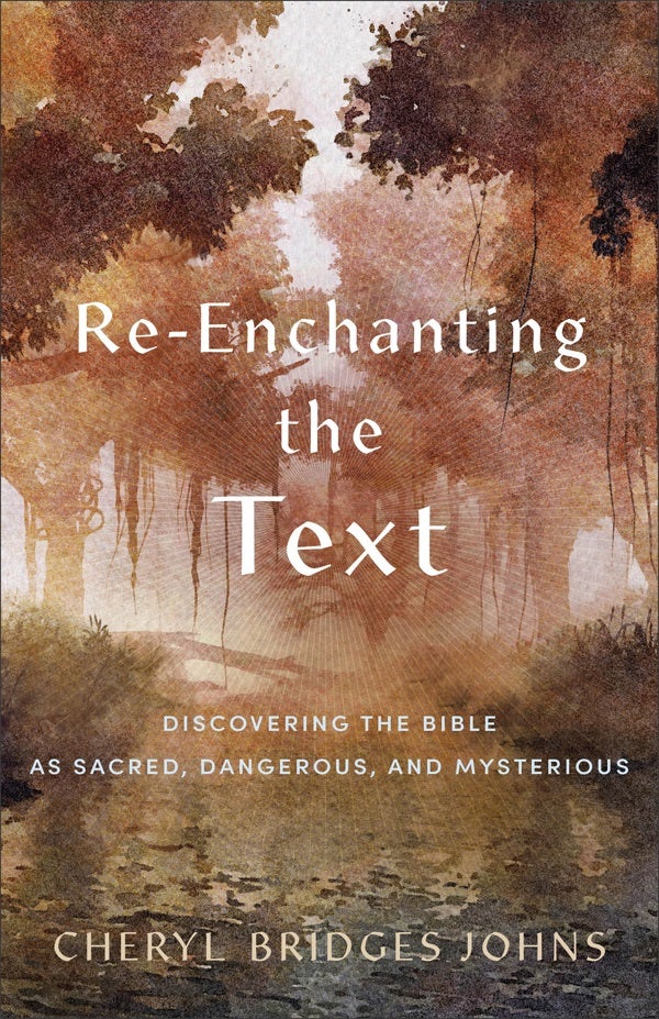 Cover image for Re-Enchanting the Text, isbn: 9781540965134