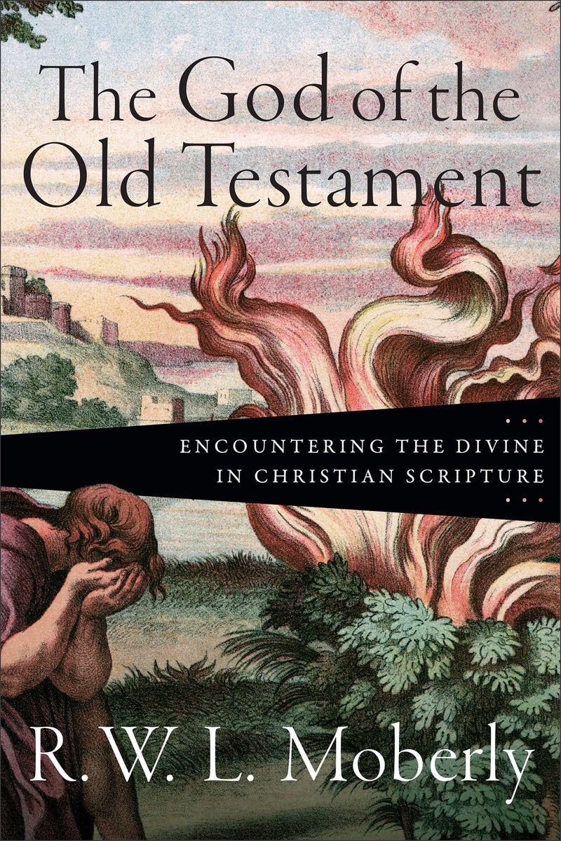 Cover image for The God of the Old Testament, isbn: 9781540972019