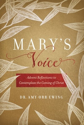 Cover image for Mary's Voice, isbn: 9781546004523