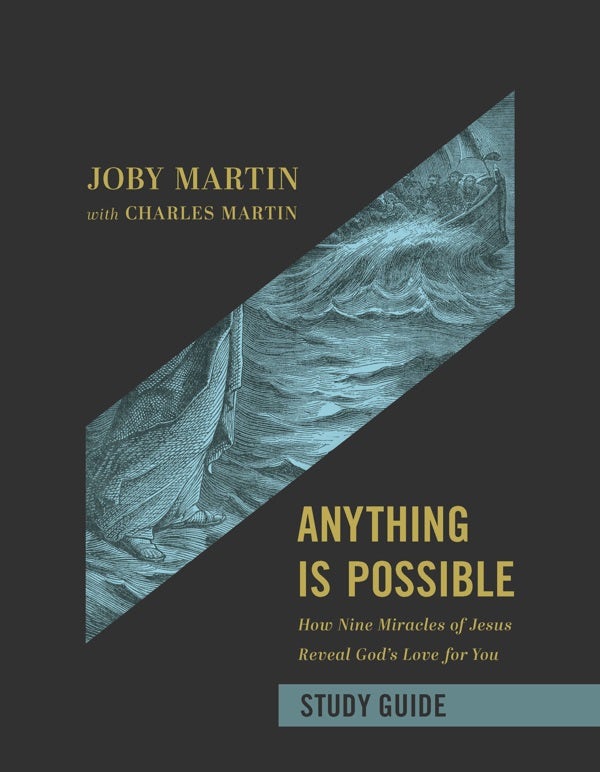 Cover image for Anything Is Possible Study Guide, isbn: 9781546004622