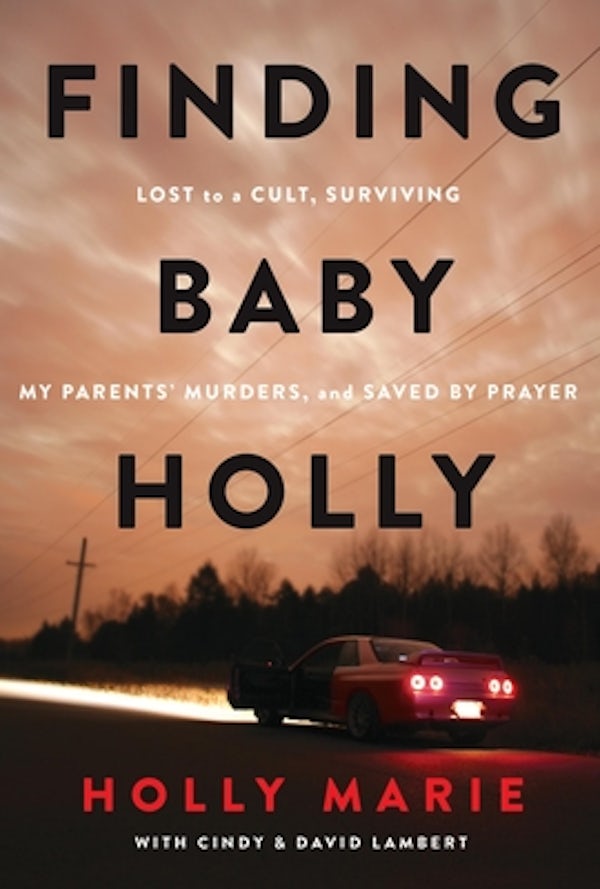 Cover image for Finding Baby Holly, isbn: 9781546006480