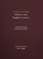 Cover image for The Brown-Driver-Briggs Hebrew and English Lexicon, isbn: 9781565632066