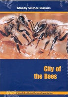 Cover image for City of the Bees, isbn: 9781575672557