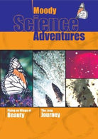 Cover image for Flying on Wings of Beauty and the Long Journey, isbn: 9781575672786