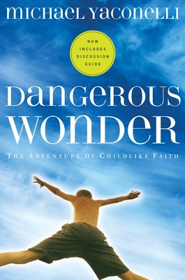 Cover image for Dangerous Wonder, isbn: 9781576834817