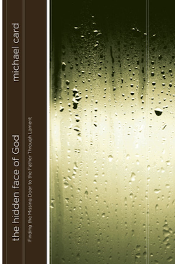 Cover image for The Hidden Face of God, isbn: 9781576836699
