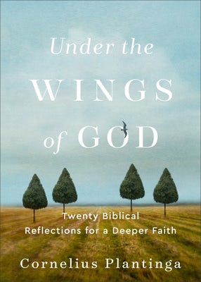 Cover image for Under the Wings of God, isbn: 9781587436017