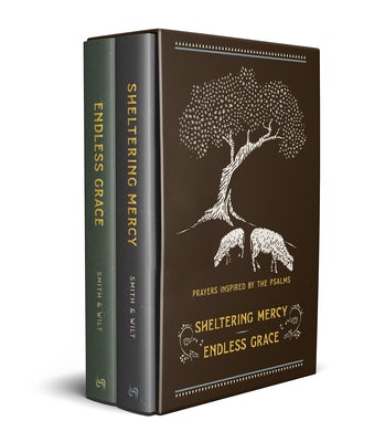 Cover image for Prayers Inspired by the Psalms Boxed Set, isbn: 9781587436130