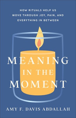 Cover image for Meaning in the Moment, isbn: 9781587436147
