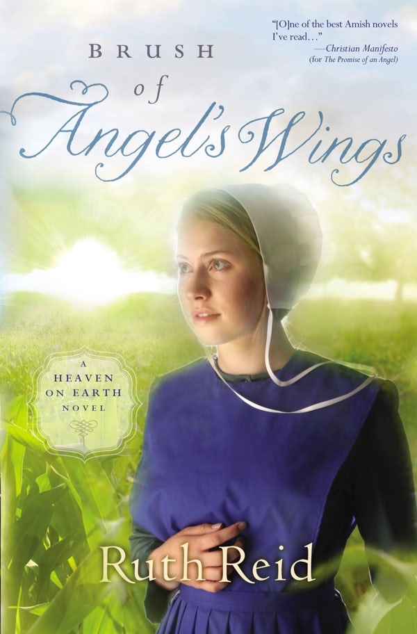 Cover image for Brush of Angel's Wings, isbn: 9781595547897